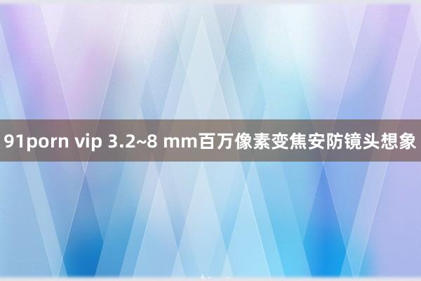 91porn vip 3.2~8 mm百万像素变焦安防镜头想象