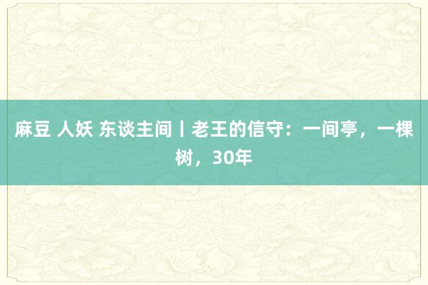 麻豆 人妖 东谈主间丨老王的信守：一间亭，一棵树，30年