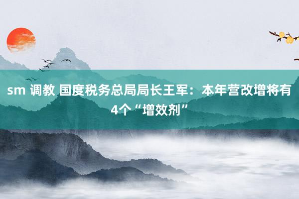 sm 调教 国度税务总局局长王军：本年营改增将有4个“增效剂”