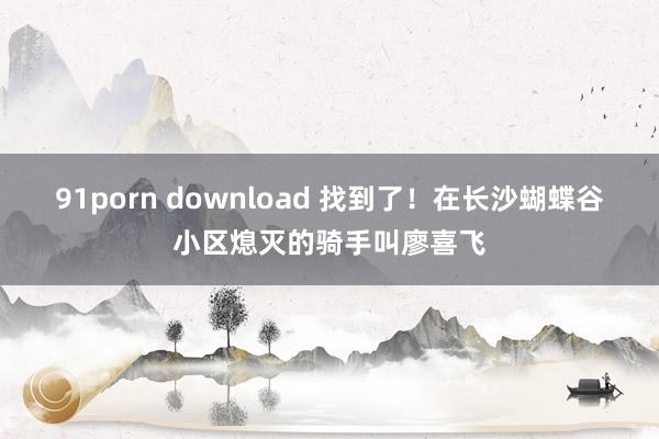 91porn download 找到了！在长沙蝴蝶谷小区熄灭的骑手叫廖喜飞