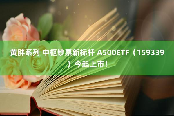 黄胖系列 中枢钞票新标杆 A500ETF（159339）今起上市！