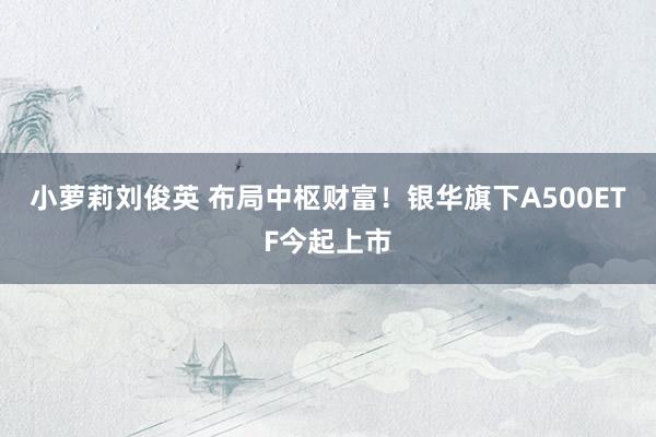 小萝莉刘俊英 布局中枢财富！银华旗下A500ETF今起上市