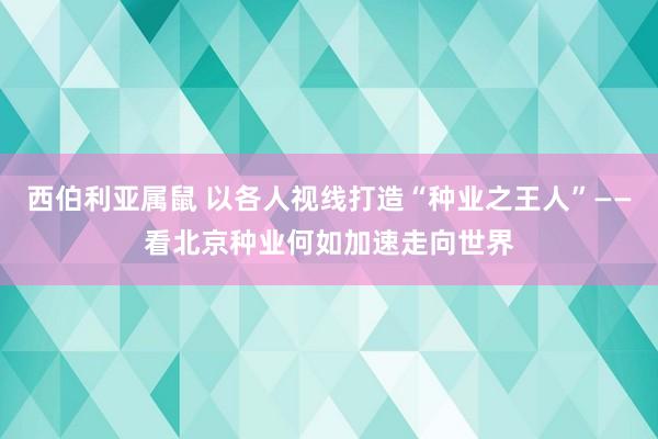 西伯利亚属鼠 以各人视线打造“种业之王人”——看北京种业何如加速走向世界