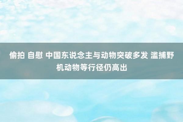 偷拍 自慰 中国东说念主与动物突破多发 滥捕野机动物等行径仍高出