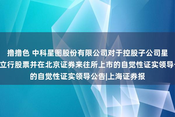 撸撸色 中科星图股份有限公司对于控股子公司星图测控央求公设立行股票并在北京证券来往所上市的自觉性证实领导公告|上海证券报