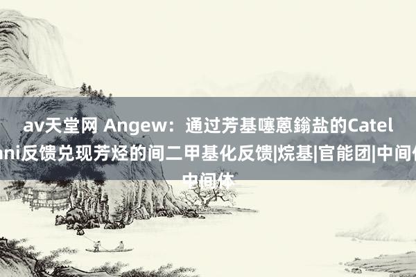 av天堂网 Angew：通过芳基噻蒽鎓盐的Catellani反馈兑现芳烃的间二甲基化反馈|烷基|官能团|中间体